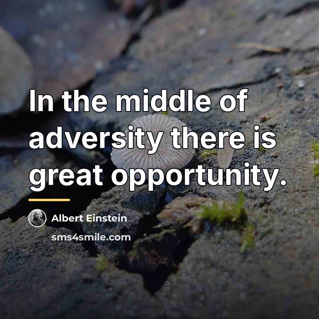 “In the middle of adversity there is great opportunity.…” quote by Albert Einstein