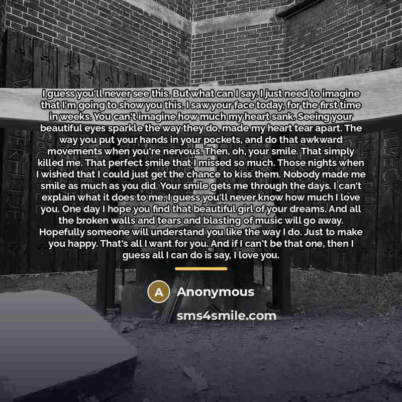 “I guess you'll never see this. But what can I…” quote by Anonymous