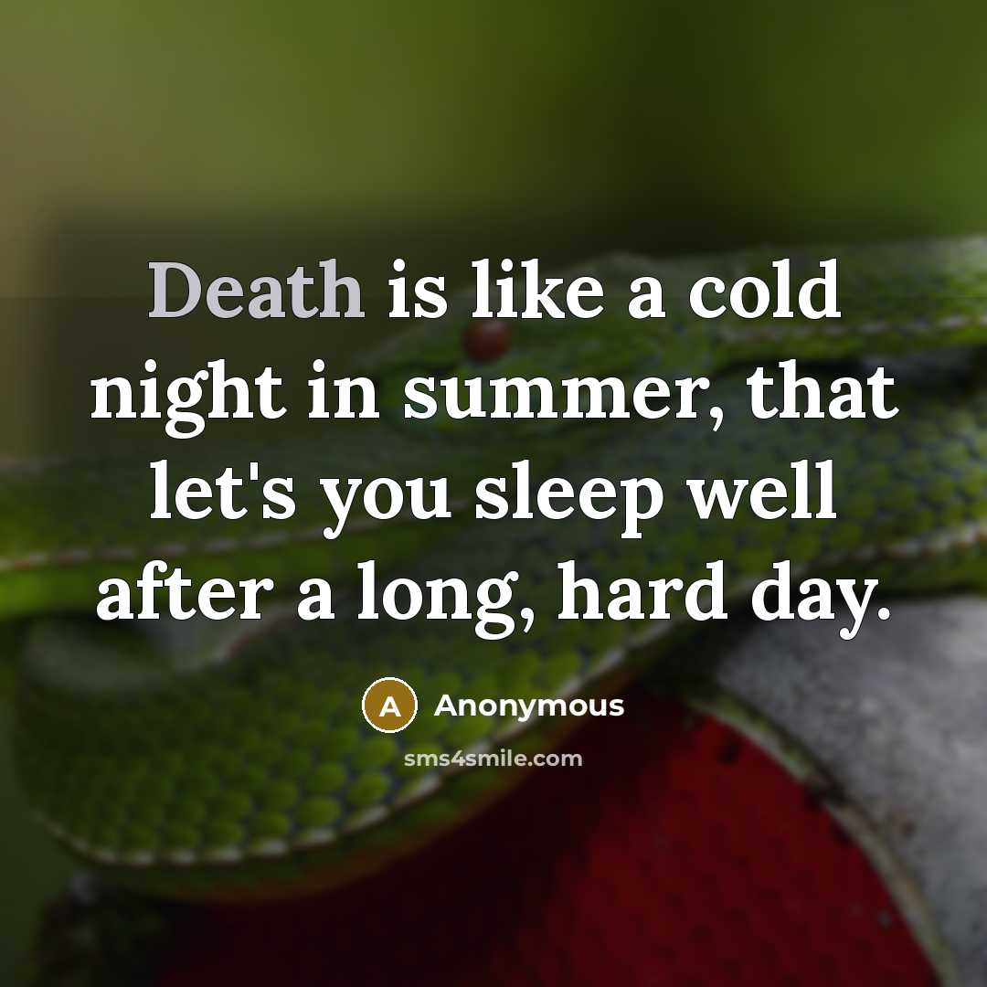 “Death is like a cold night in summer, that let's…” quote by Anonymous