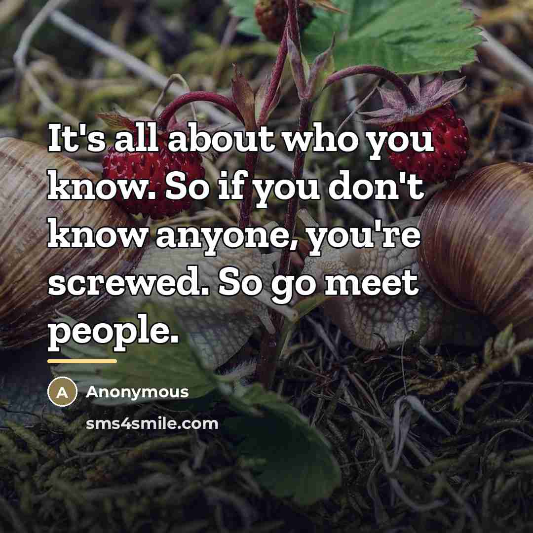“It's all about who you know. So if you don't know anyone, you're screwed. So go meet people.” quote by Anonymous