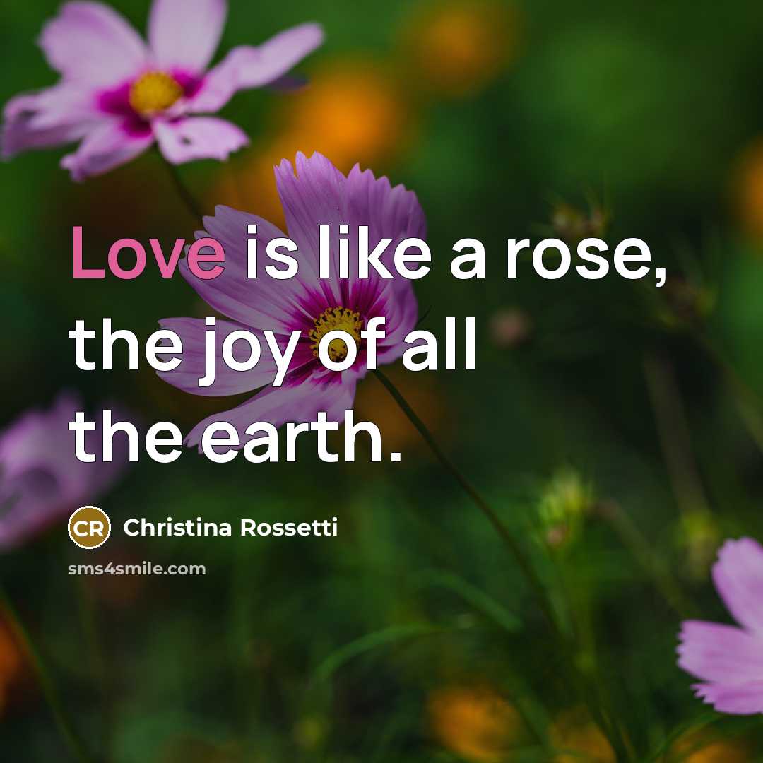 “Love is like a rose, the joy of all the…” quote by Christina Rossetti