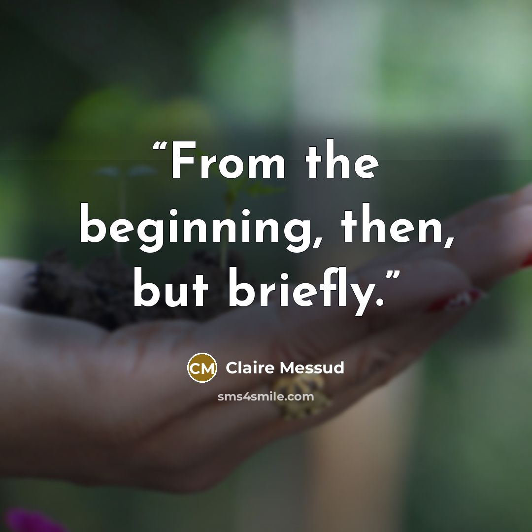 “From the beginning, then, but briefly.” quote by Claire Messud