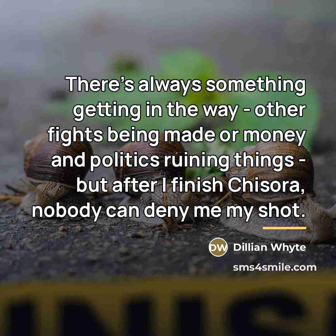 “There's always something getting in the way - other fights…” quote by Dillian Whyte