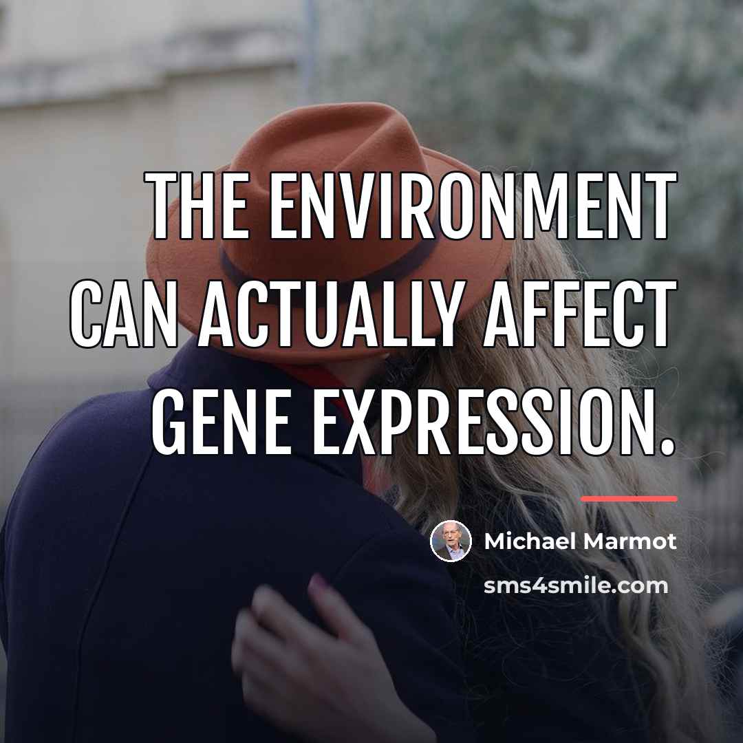 “The environment can actually affect gene expression.…” quote by Michael Marmot