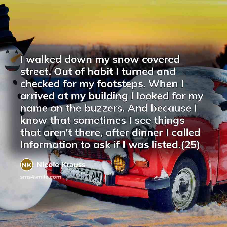 “I walked down my snow covered street. Out of habit…” quote by Nicole Krauss