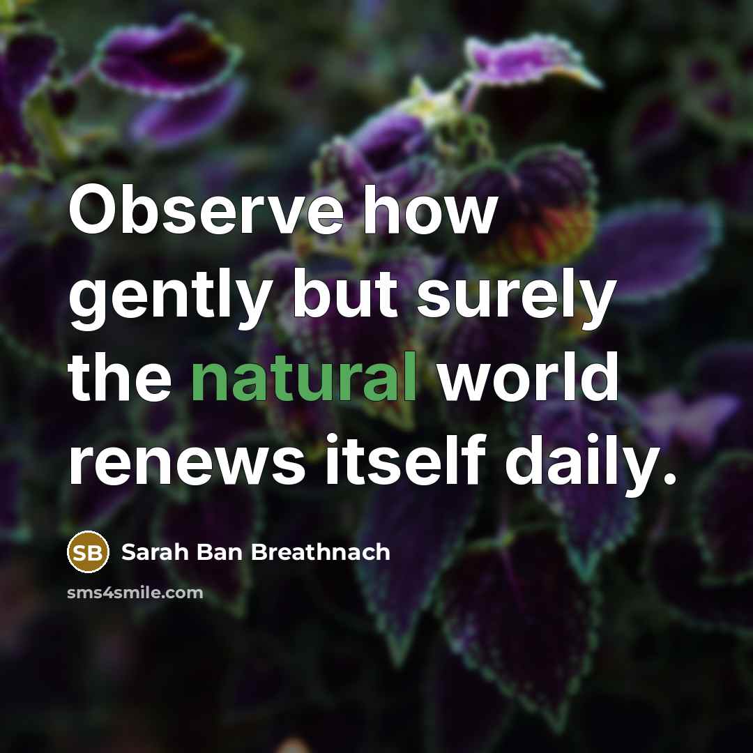 “Observe how gently but surely the natural world renews itself…” quote by Sarah Ban Breathnach