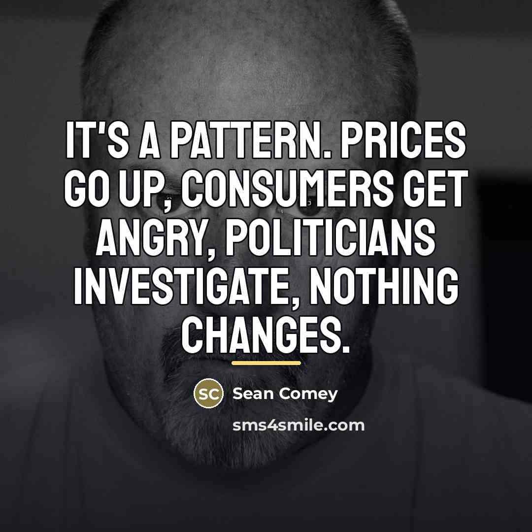 “It's a pattern. Prices go up, consumers get angry, politicians…” quote by Sean Comey