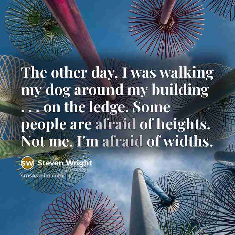 “The other day, I was walking my dog around my…” quote by Steven Wright