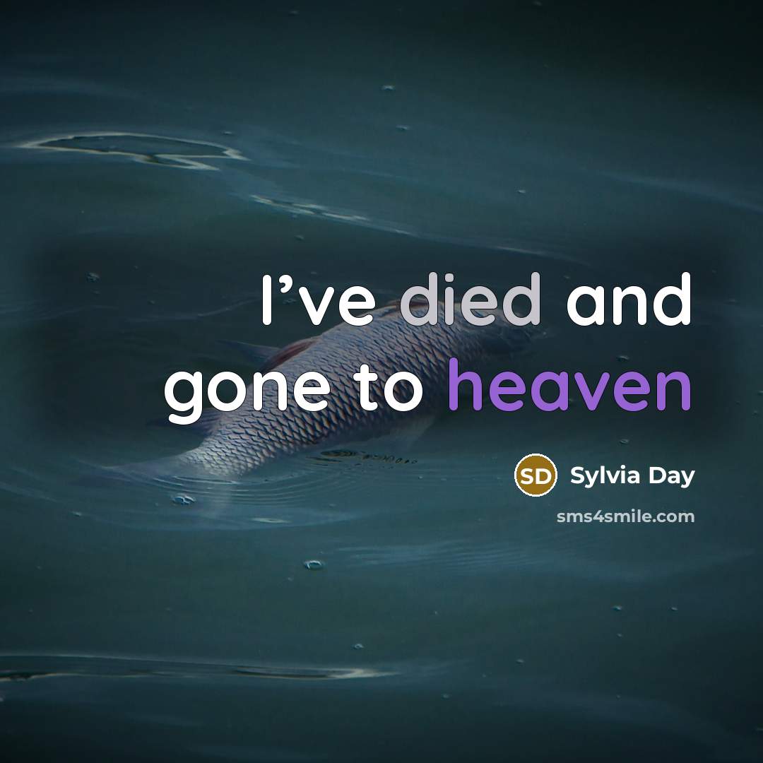 “I’ve died and gone to heaven” quote by Sylvia Day