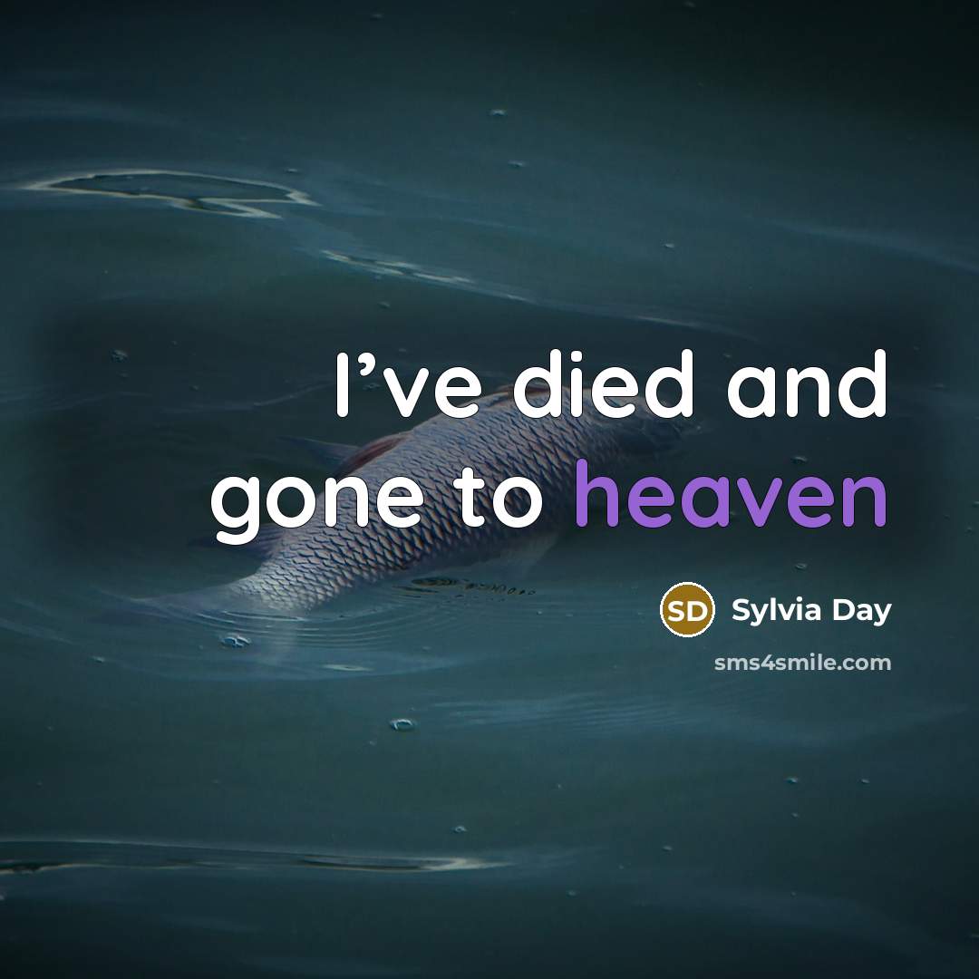 “I’ve died and gone to heaven…” quote by Sylvia Day