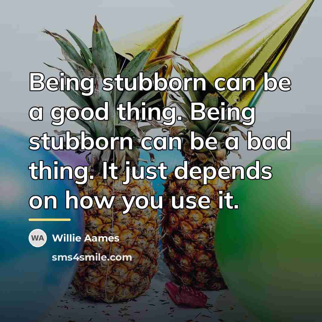 “Being stubborn can be a good thing. Being stubborn can…” quote by Willie Aames