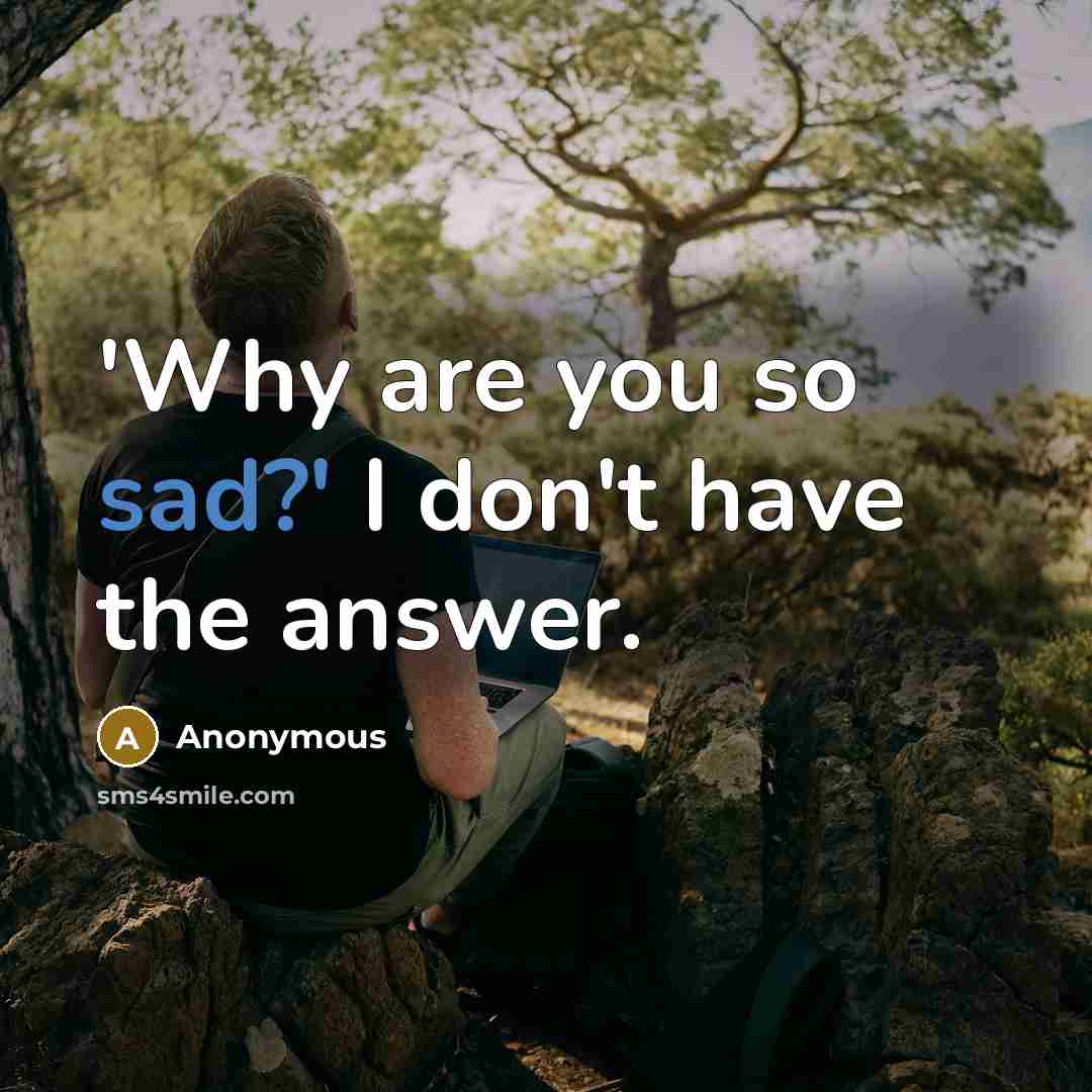 “'Why are you so sad?' I don't have the answer.” quote by Anonymous