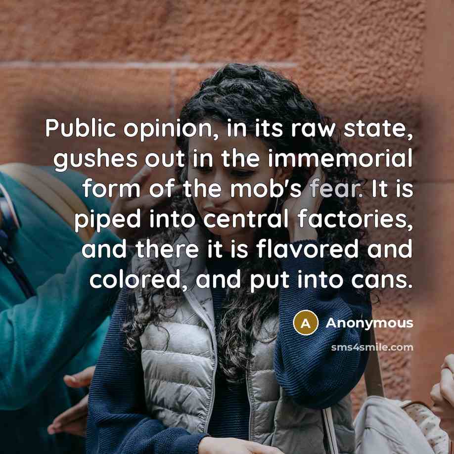 “Public opinion, in its raw state, gushes out in the…” quote by Anonymous