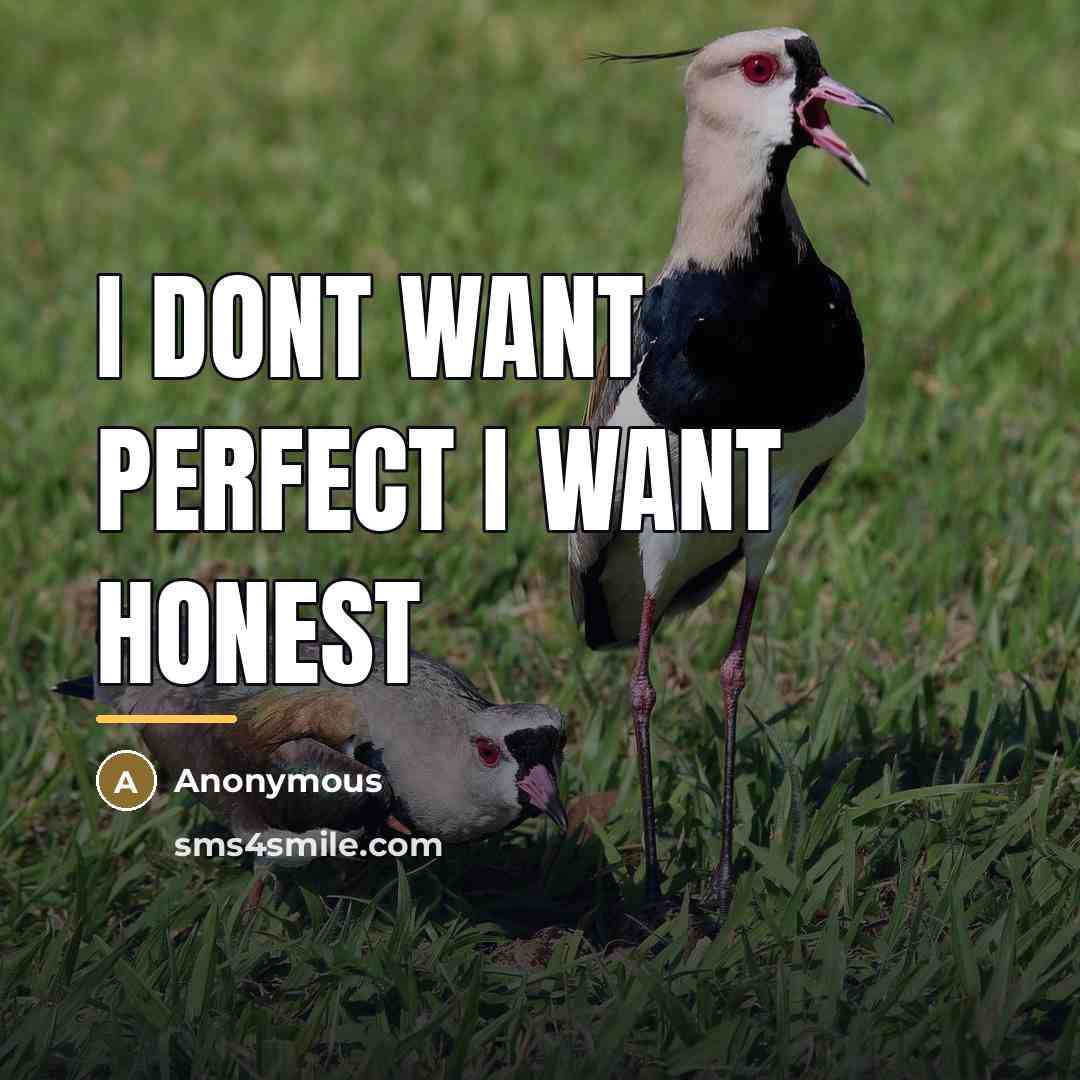 “I dont want perfect I want HONEST…” quote by Anonymous
