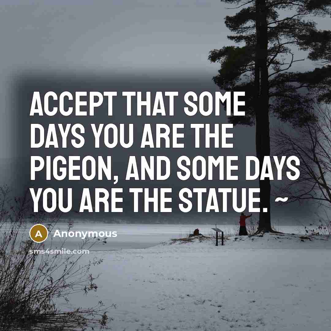 “Accept that some days you are the pigeon, and some…” quote by Anonymous