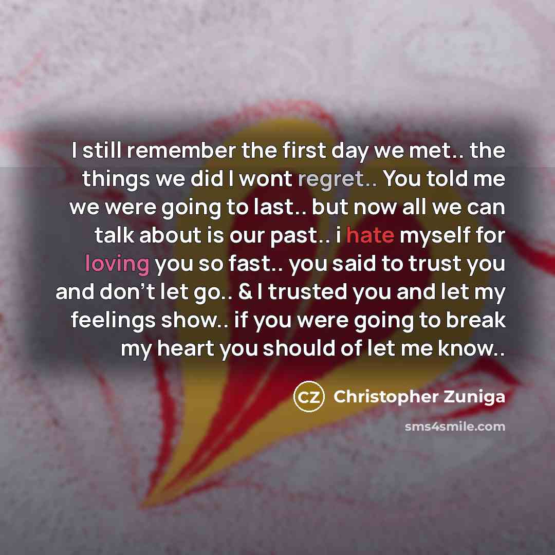 “I still remember the first day we met.. the things we did I wont regret.. You told me we were going to last.. but now all we can talk about is our past.. i hate myself for loving you so fast.. you said to trust you and don't let go.. & I trusted you and let my feelings show.. if you were going to…” quote by Christopher Zuniga