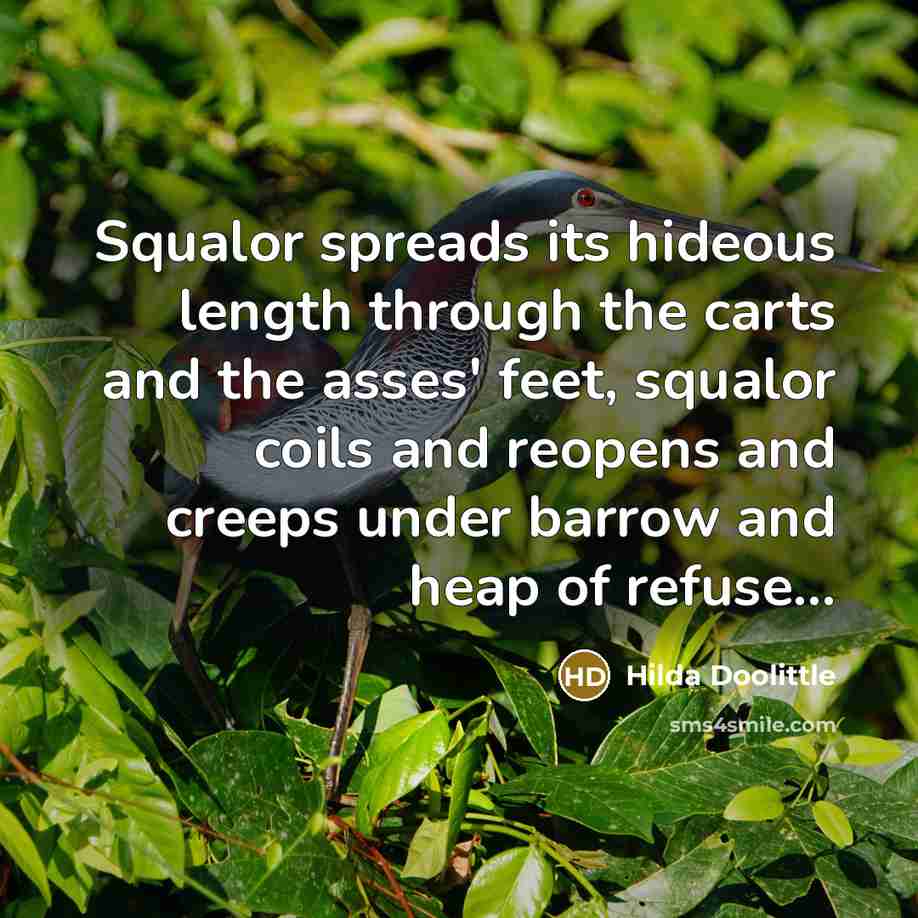 “Squalor spreads its hideous length through the carts and the…” quote by Hilda Doolittle