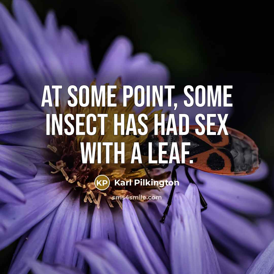 “At some point, some insect has had sex with a…” quote by Karl Pilkington