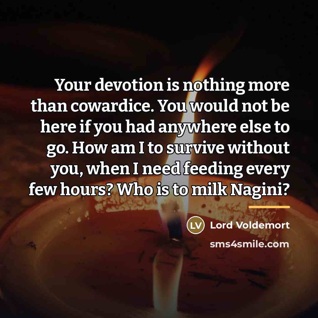 “Your devotion is nothing more than cowardice. You would not…” quote by Lord Voldemort