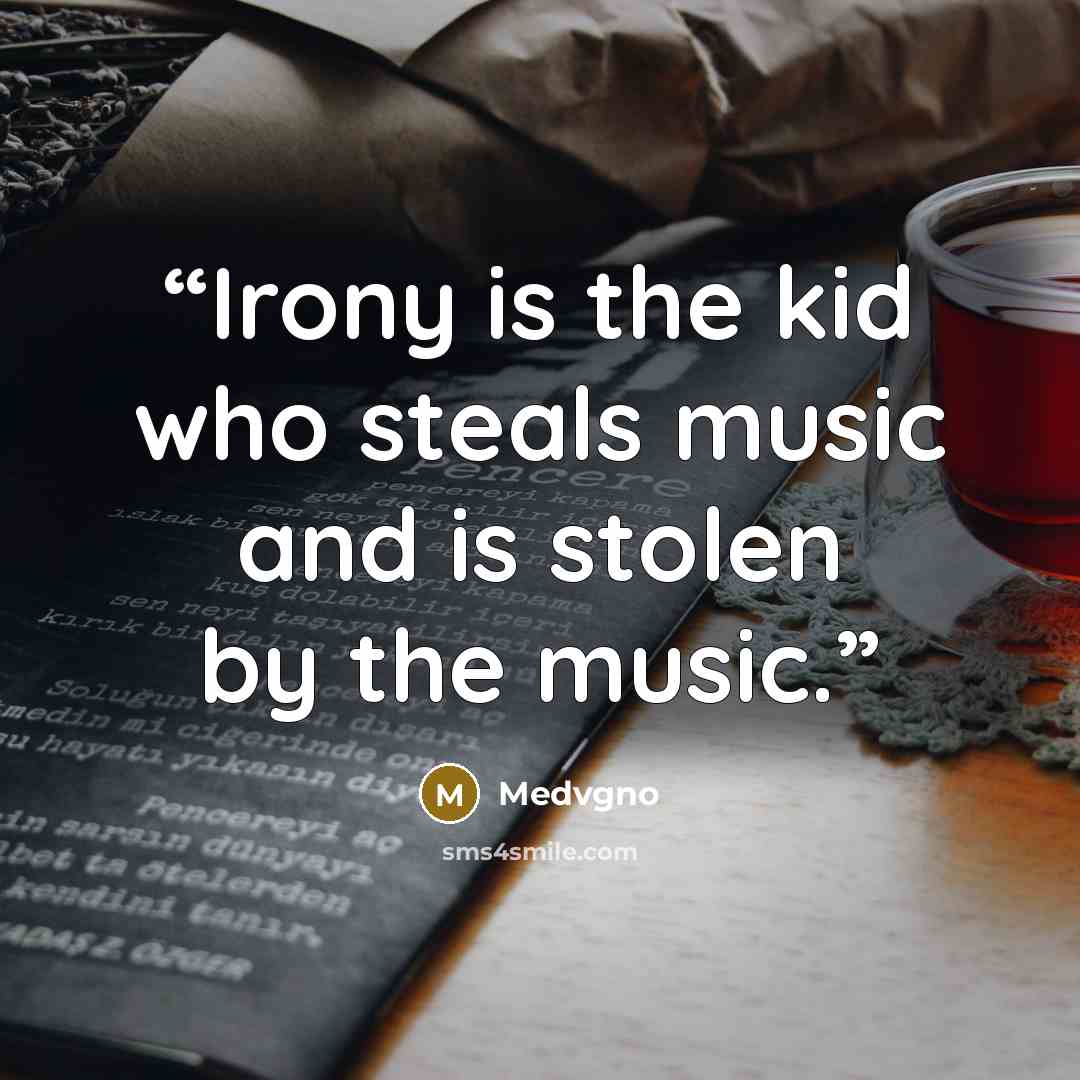 “Irony is the kid who steals music and is stolen by the music.” quote by Medvgno