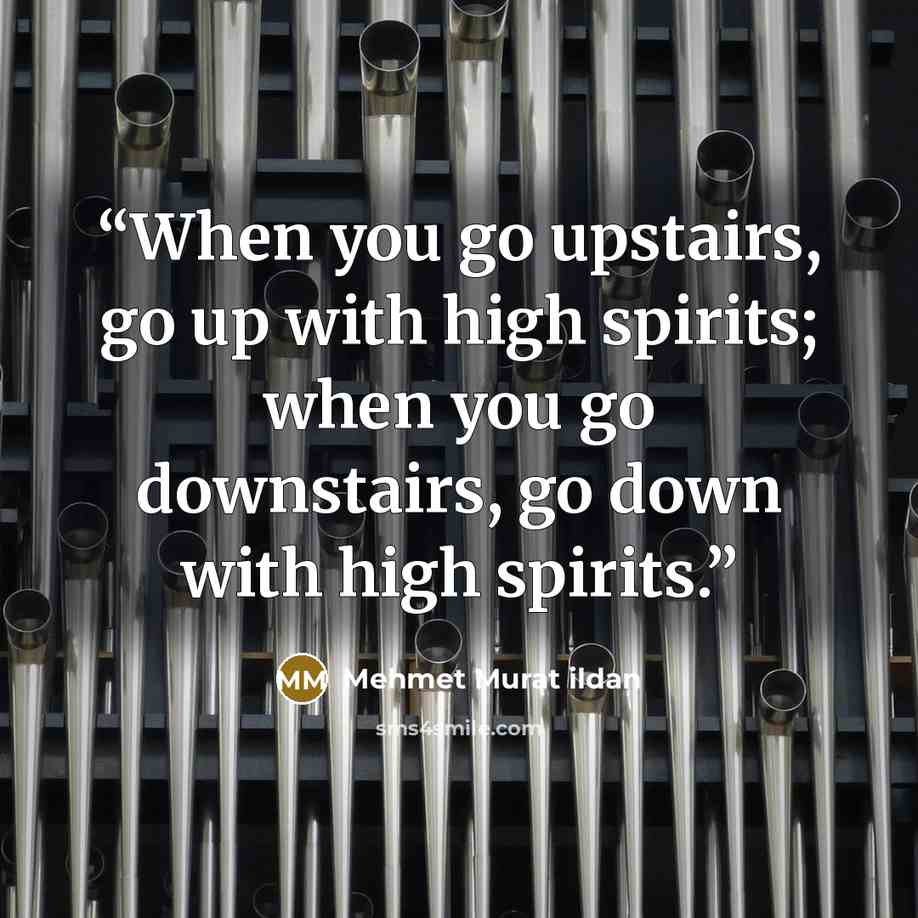 “When you go upstairs, go up with high spirits; when you go downstairs, go down with high spirits.” quote by Mehmet Murat ildan