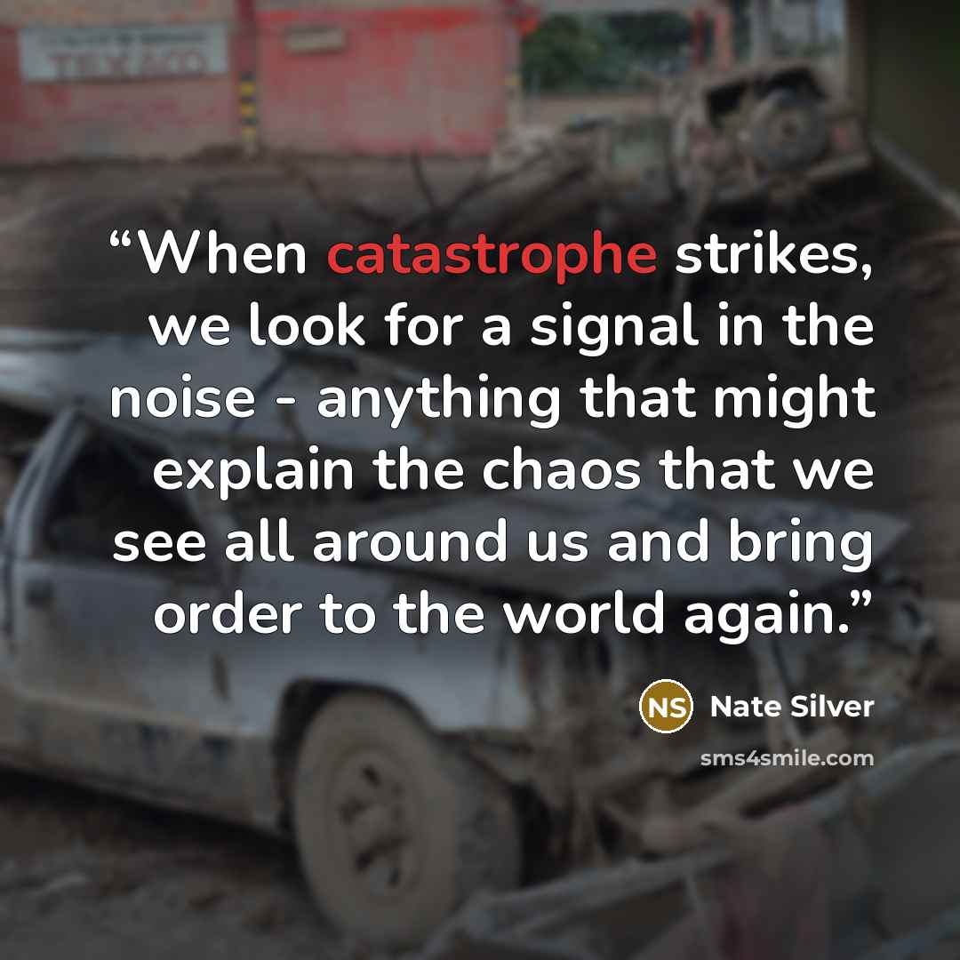 “When catastrophe strikes, we look for a signal in the noise - anything that might explain the chaos that we see all around us and bring order to the world again.” quote by Nate Silver