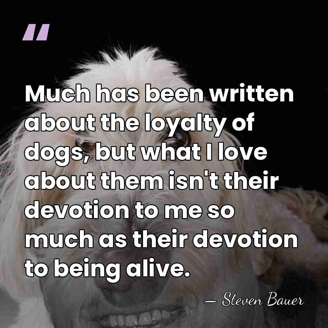 Much has been written about the loyalty of dogs, but what I&hellip; - Steven Bauer