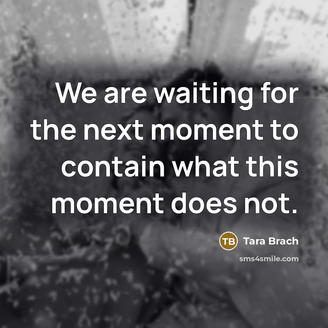 “We are waiting for the next moment to contain what…” quote by Tara Brach
