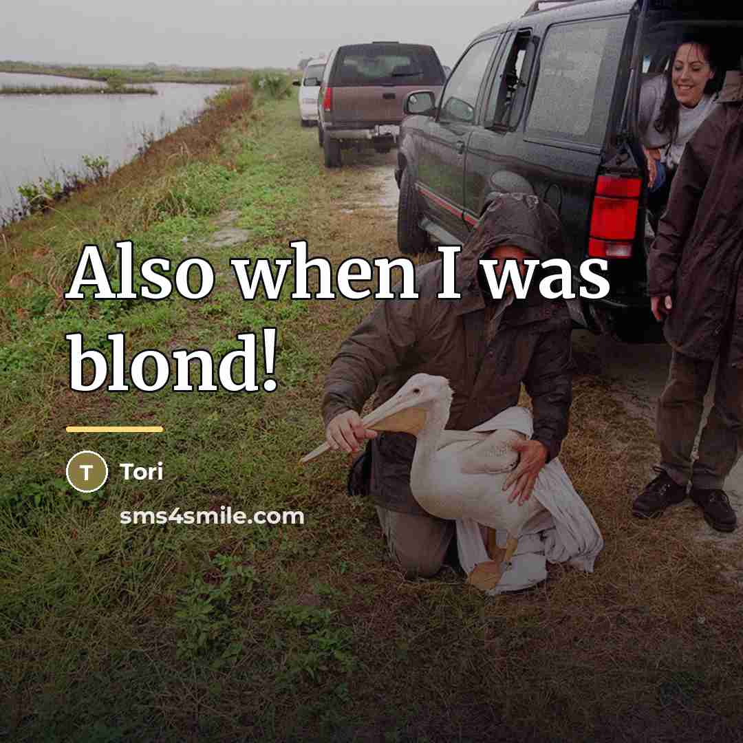 “Also when I was blond!…” quote by Tori