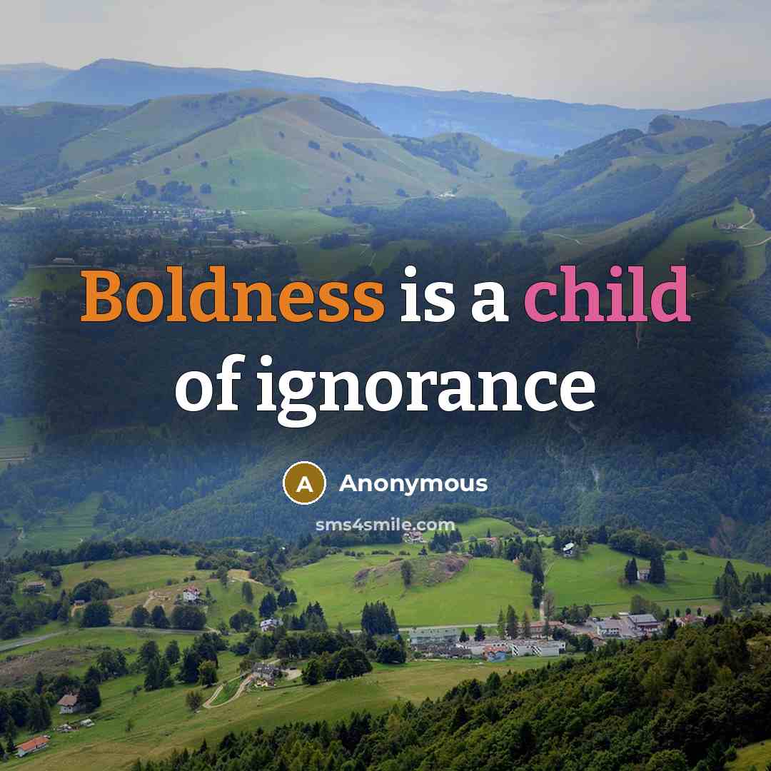 “Boldness is a child of ignorance…” quote by Anonymous