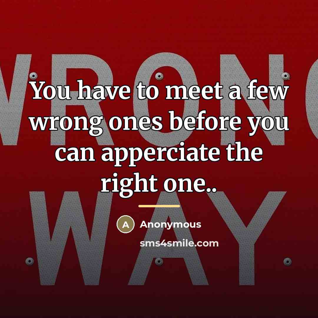 “You have to meet a few wrong ones before you…” quote by Anonymous