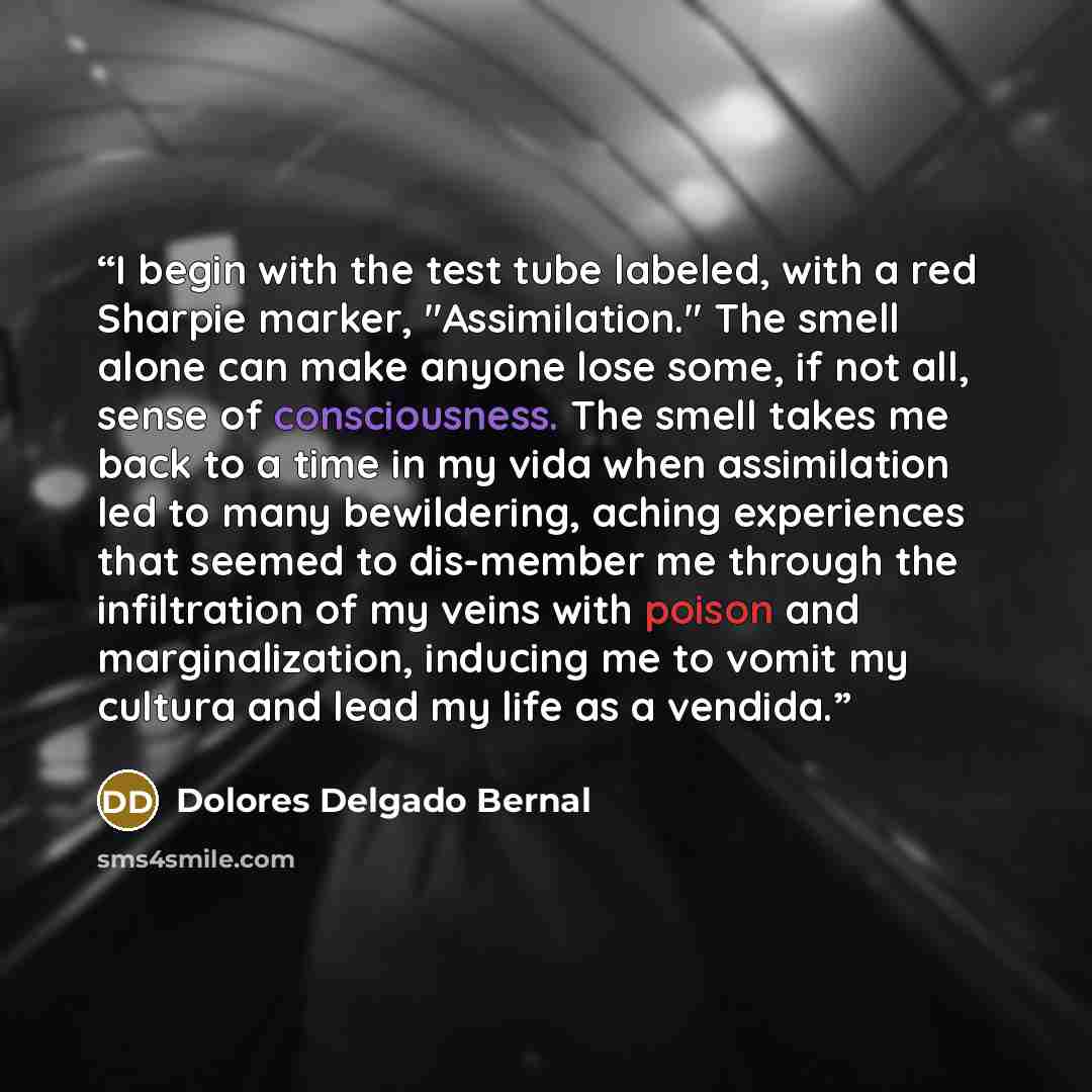 “I begin with the test tube labeled, with a red Sharpie marker, "Assimilation." The smell alone can make anyone lose some, if not all, sense of consciousness. The smell takes me back to a time in my vida when assimilation led to many bewildering, aching experiences that seemed to dis-member me…” quote by Dolores Delgado Bernal