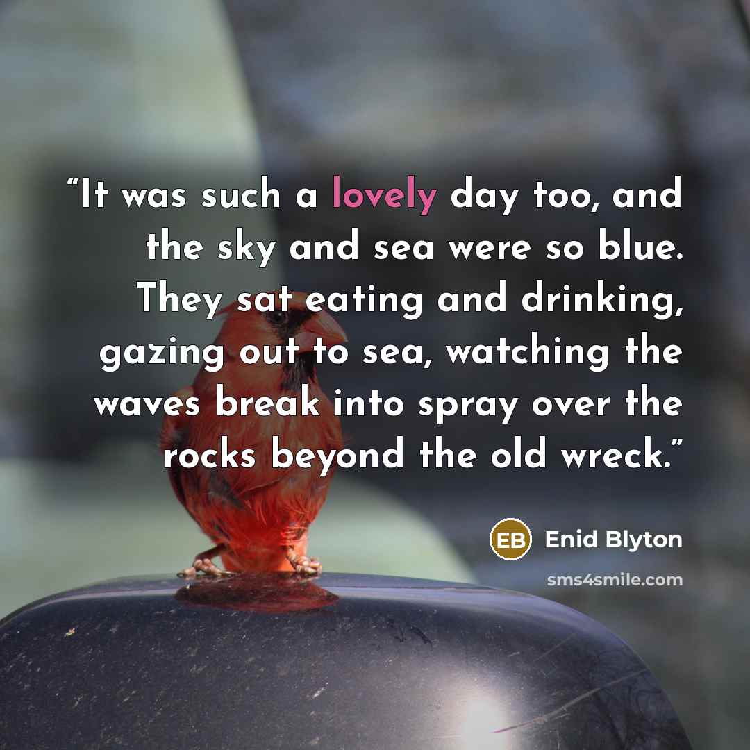 “It was such a lovely day too, and the sky and sea were so blue. They sat eating and drinking, gazing out to sea, watching the waves break into spray over the rocks beyond the old wreck.” quote by Enid Blyton