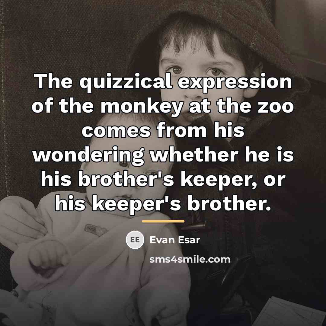 “The quizzical expression of the monkey at the zoo comes…” quote by Evan Esar