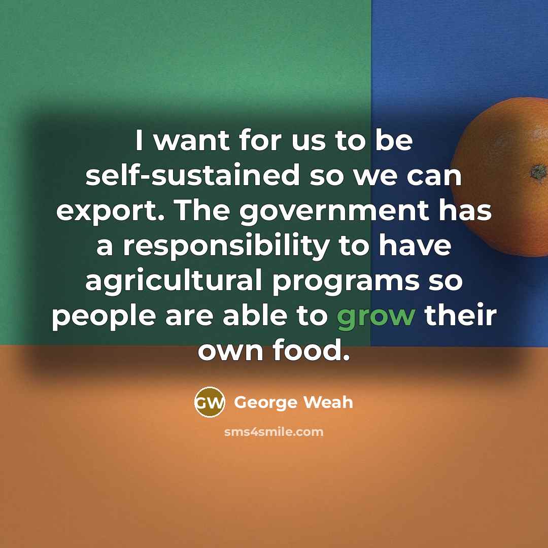 “I want for us to be self-sustained so we can…” quote by George Weah