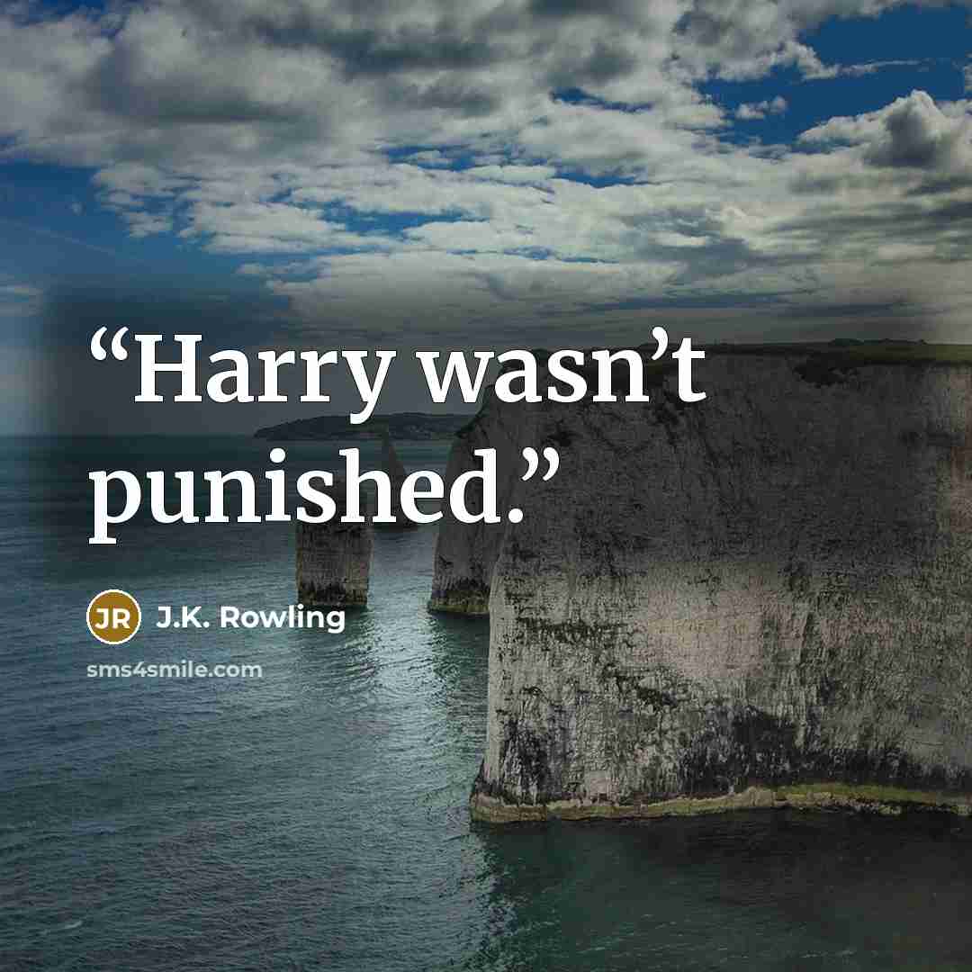 “Harry wasn’t punished.” quote by J.K. Rowling