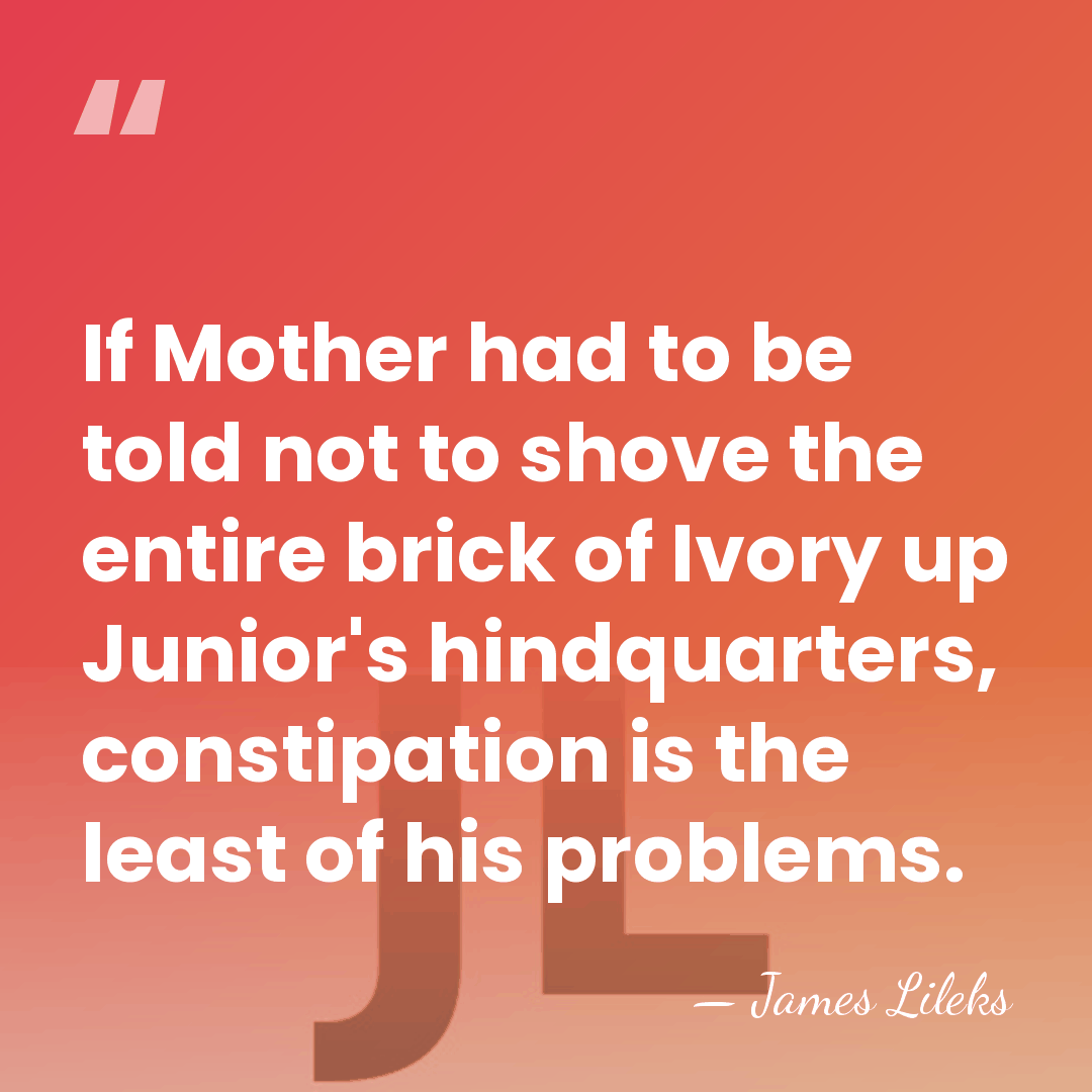 If Mother had to be told not to shove the entire brick&hellip; - James Lileks