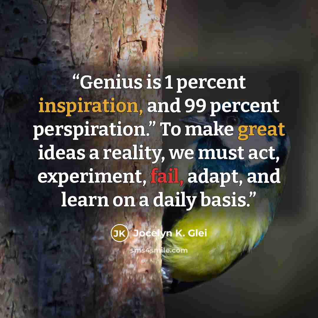 “Genius is 1 percent inspiration, and 99 percent perspiration.” To make great ideas a reality, we must act, experiment, fail, adapt, and learn on a daily basis.” quote by Jocelyn K. Glei