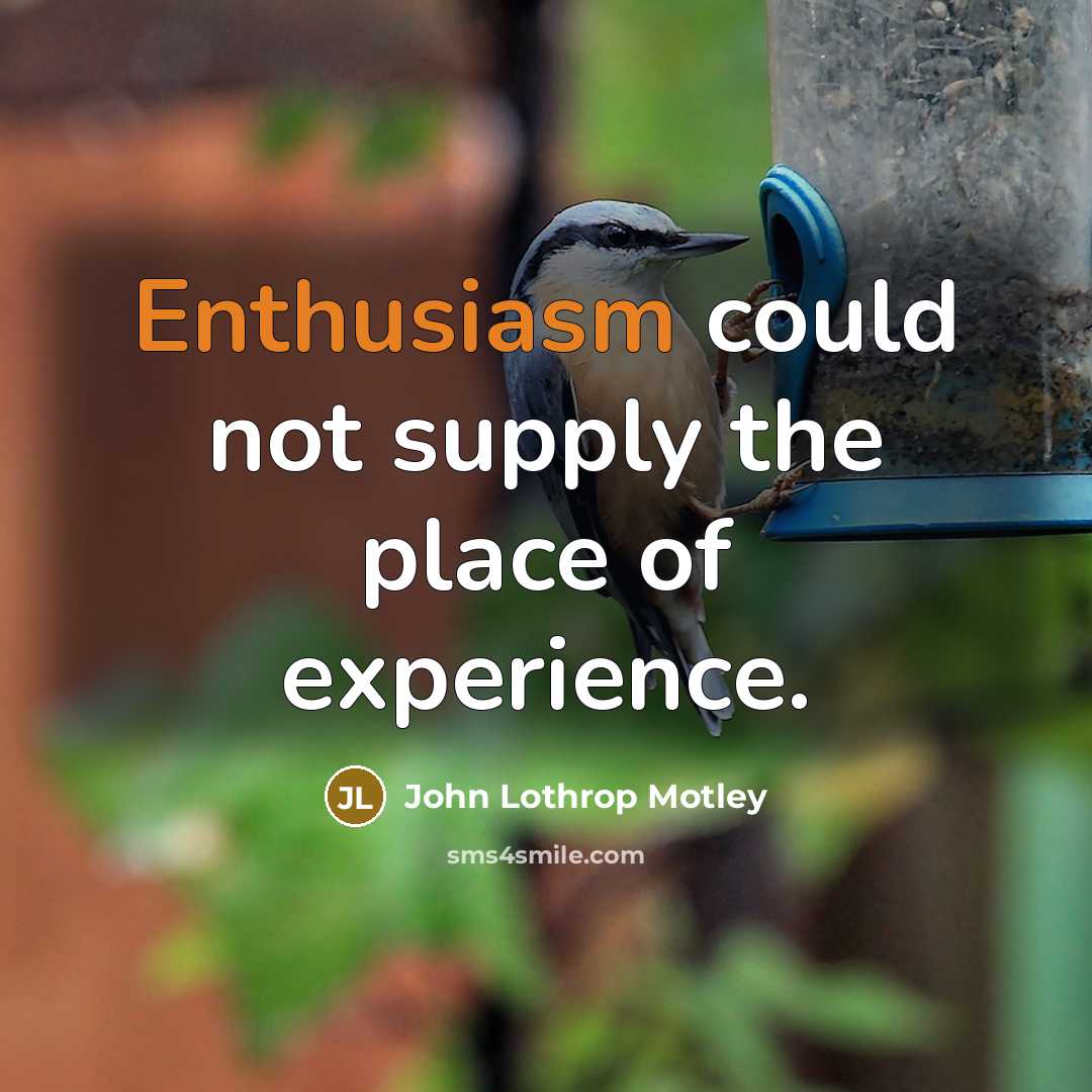“Enthusiasm could not supply the place of experience.…” quote by John Lothrop Motley