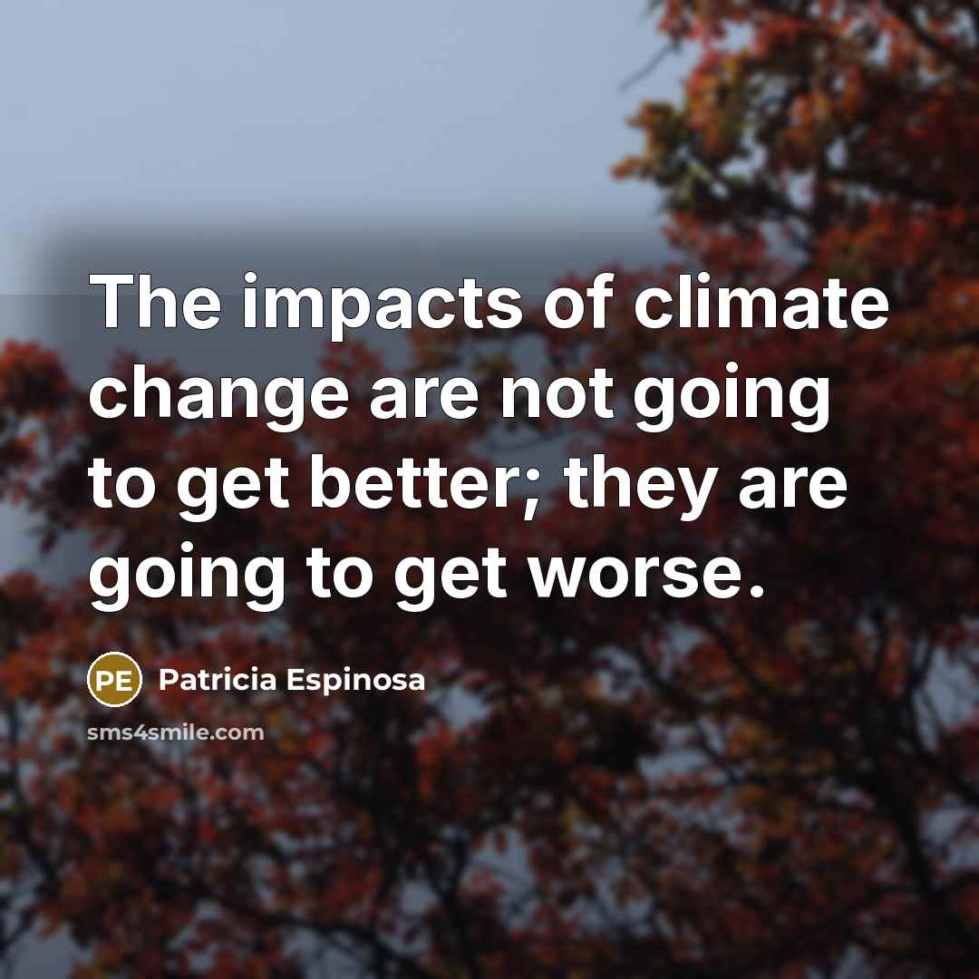 “The impacts of climate change are not going to get…” quote by Patricia Espinosa