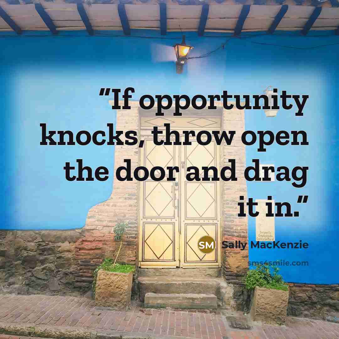 “If opportunity knocks, throw open the door and drag it in.” quote by Sally MacKenzie