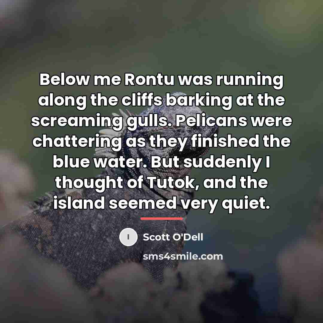 “Below me Rontu was running along the cliffs barking at…” quote by Scott O'Dell