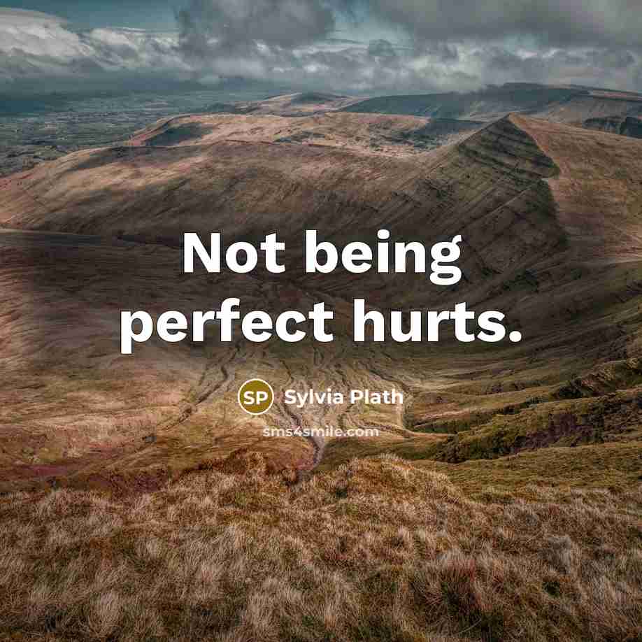 “Not being perfect hurts.…” quote by Sylvia Plath