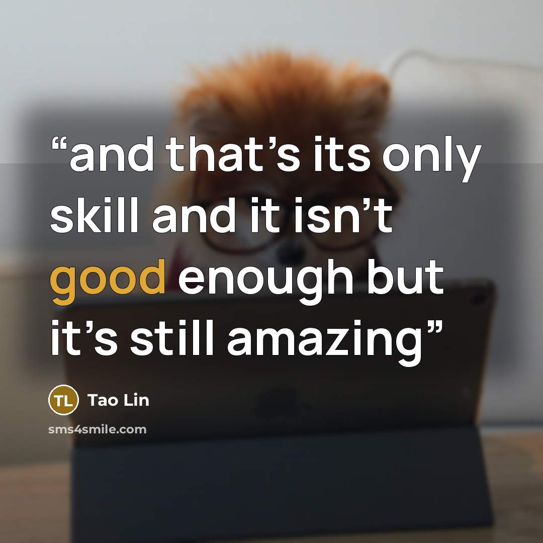 “and that’s its only skill and it isn’t good enough but it’s still amazing” quote by Tao Lin