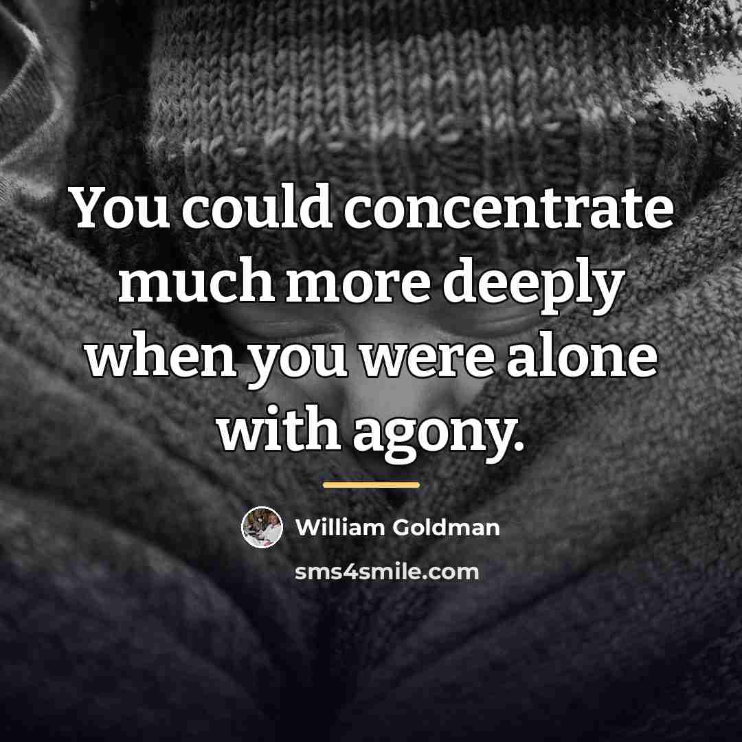 “You could concentrate much more deeply when you were alone…” quote by William Goldman