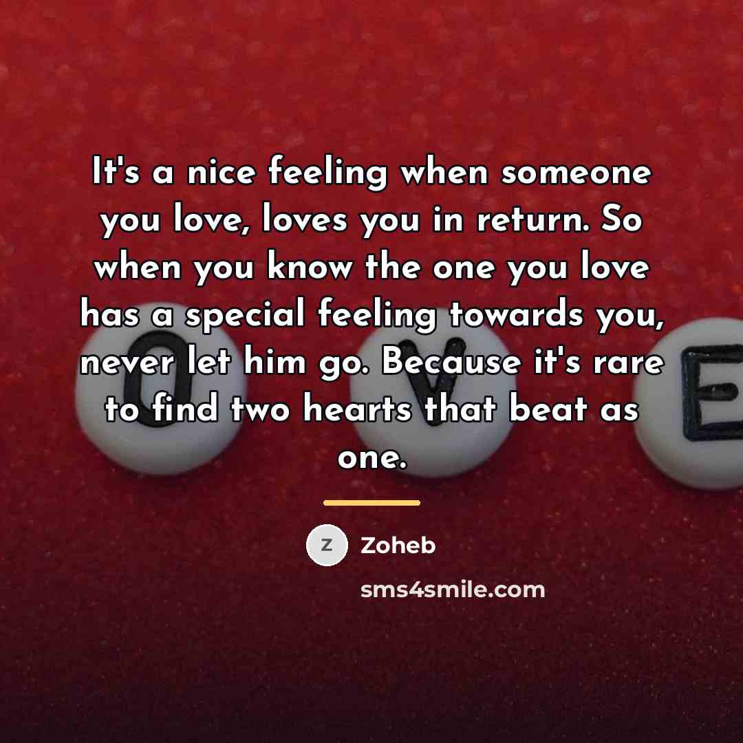 “It's a nice feeling when someone you love, loves you…” quote by Zoheb