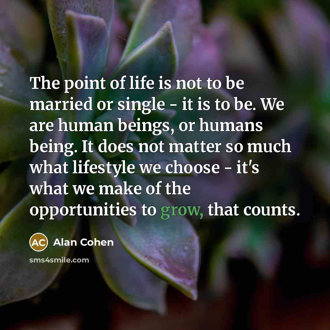 “The point of life is not to be married or…” quote by Alan Cohen