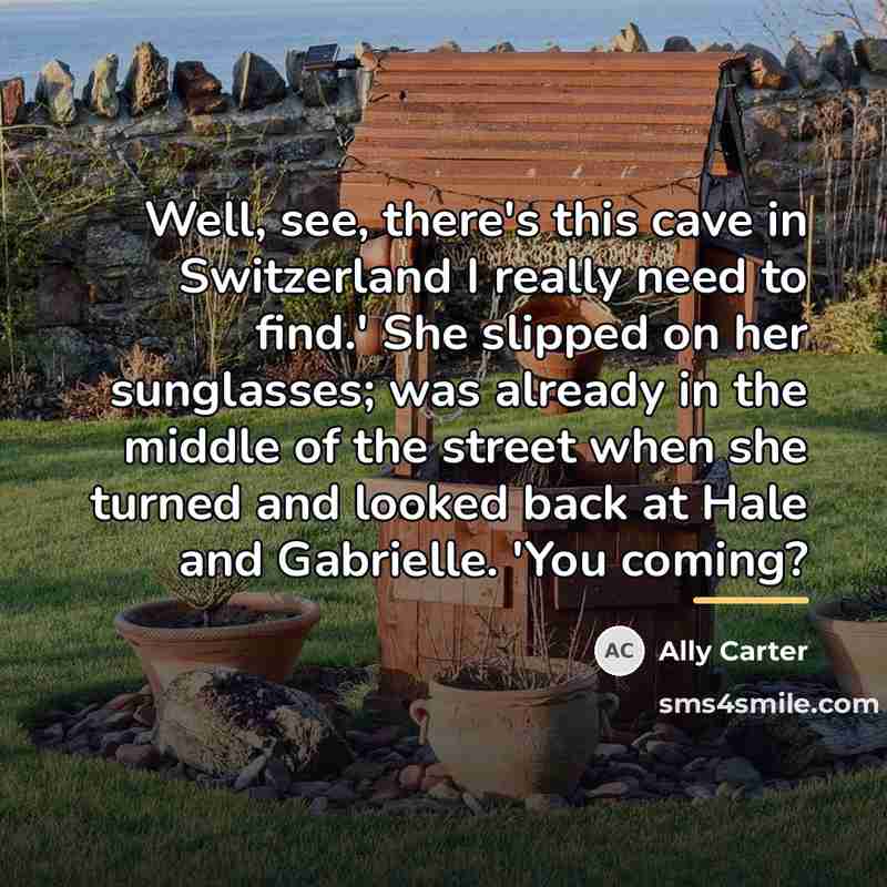 “Well, see, there's this cave in Switzerland I really need…” quote by Ally Carter