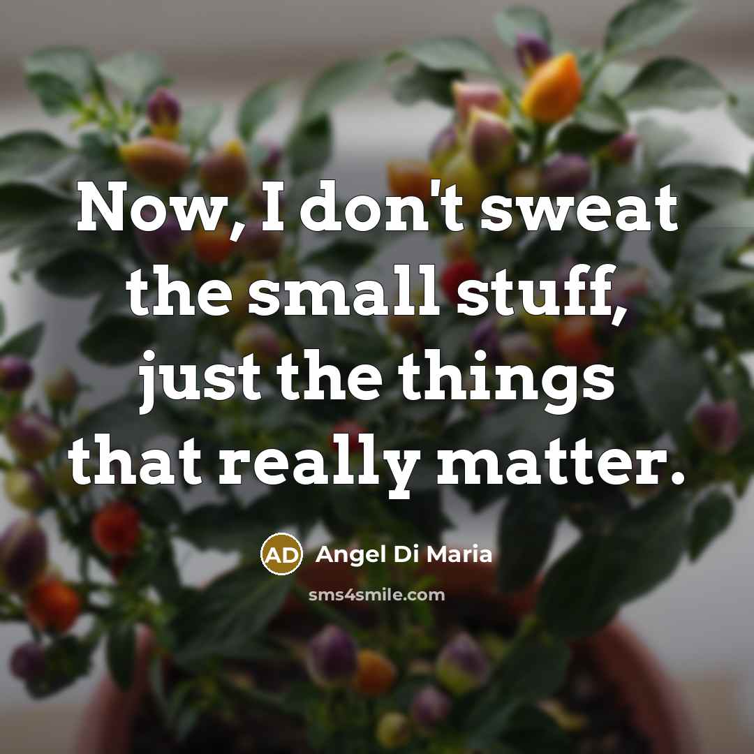 “Now, I don't sweat the small stuff, just the things…” quote by Angel Di Maria