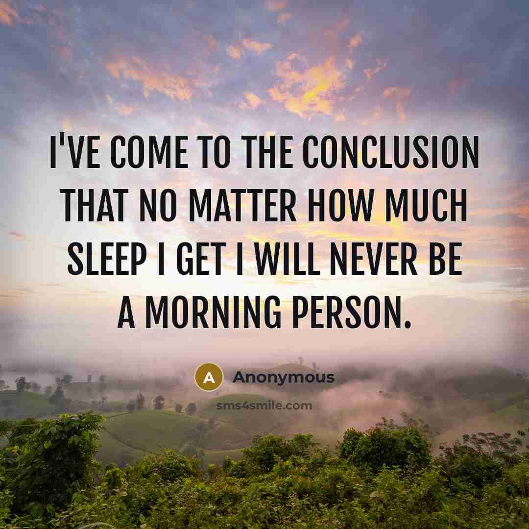 “I've come to the conclusion that no matter how much…” quote by Anonymous